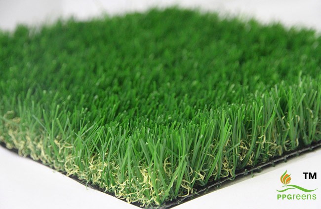 1509934090377839.jpg 1509934090377839.jpg